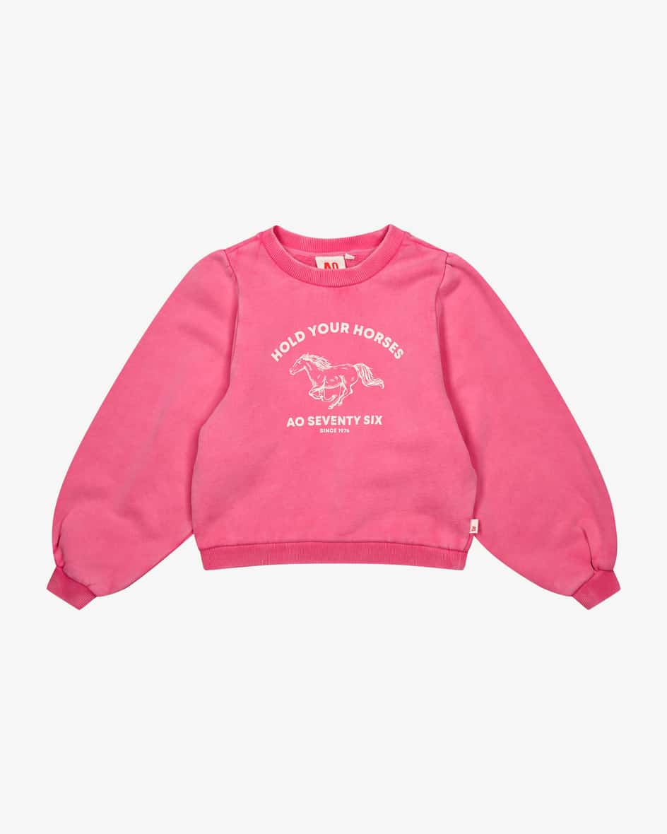 AO76 Sweatshirt Saisonschlussverkauf