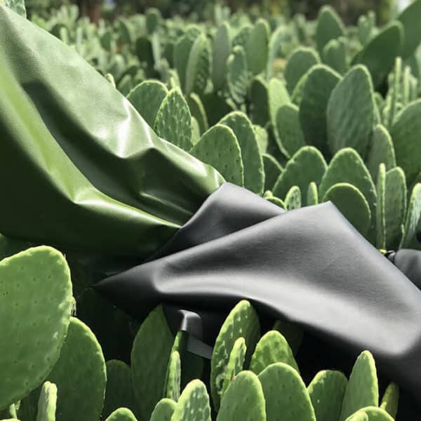 Pololo Veganer Kaktus Sneaker Grün Maxi 24-34 Vatertagsangebot