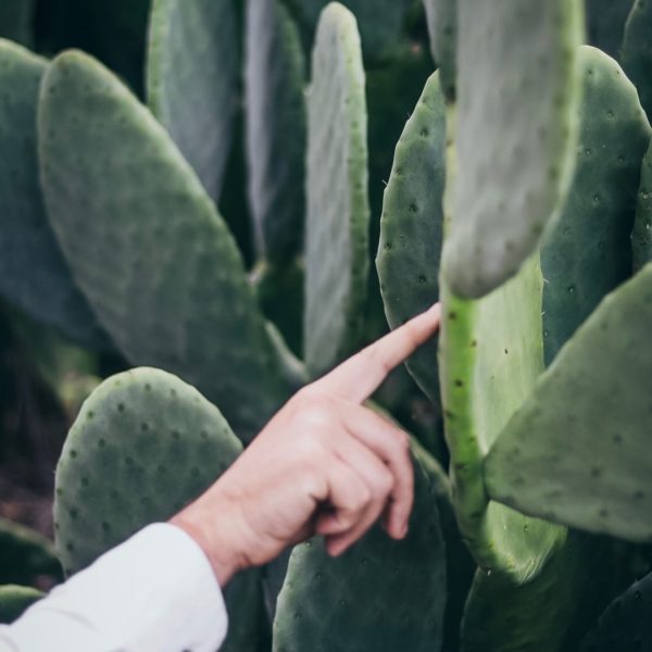 Pololo Sandale Verano hellgrün vegan VIP-Rabatte