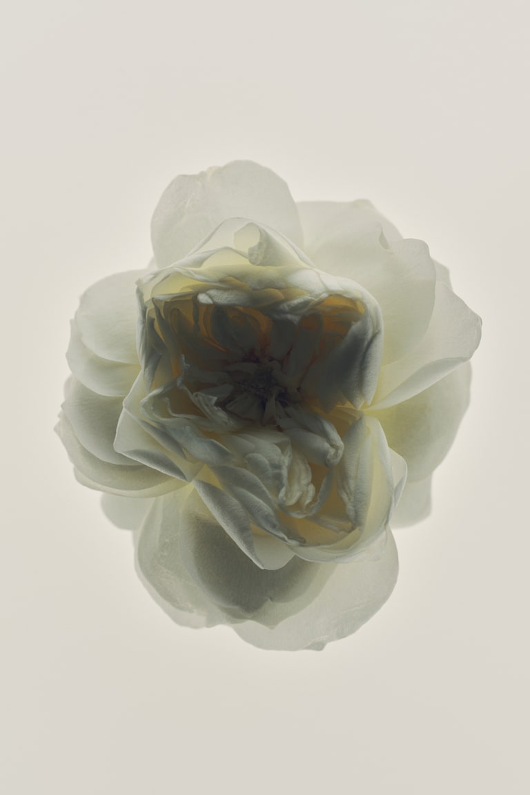 H&M Eau de Toilette Limitierter Zeitrabatt