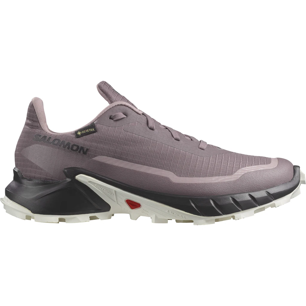 Salomon Trailrunningschuh »ALPHACROSS 5 W GORE-TEX« wasserdicht Nur noch ein Tag übrig