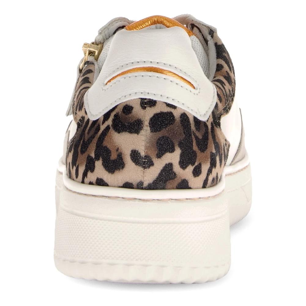 Gabor Plateausneaker Freizeitschuh Halbschuh Schnürer mit Kontastbesätzen Weite K Zeitlich begrenztes Angebot